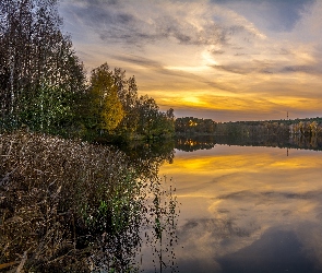 Odbicie, Chmury, Drzewa, Jezioro, Roślinność, Wschód słońca