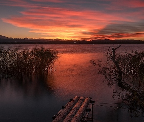 Zachód słońca, Pomost, Szuwary, Jezioro