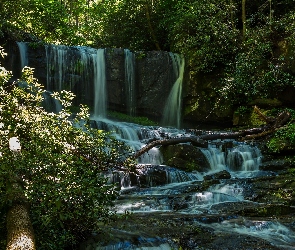 Stany Zjednoczone, Stan Karolina Północna, Las, Wodospad Virginia Hawkins Falls, Rzeka, Kamienie
