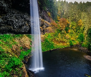 Wodospad South Falls, Stan Oregon, Roślinność, Stany Zjednoczone, Park stanowy Silver Falls, Jezioro, Las, Drzewa, Skały