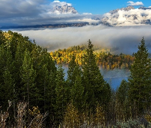 Stany Zjednoczone, Park Narodowy Grand Teton, Krajobraz, Stan Wyoming, Góry, Las, Drzewa, Świerki, Jesień, Mgła