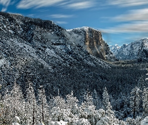 Stan Kalifornia, Drzewa, Zima, Stany Zjednoczone, Dolina Yosemite Valley, Park Narodowy Yosemite, Góry