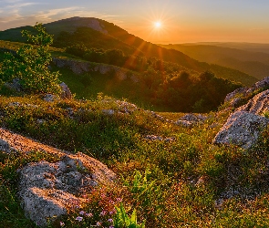 Wzgórza, Góry, Promienie słońca, Trawa, Rośliny, Skały