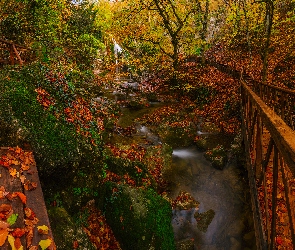 Wodospad, Omszałe, Jesień, Kamienie, Liście, Drzewa, Rzeka, Mostek, Schody
