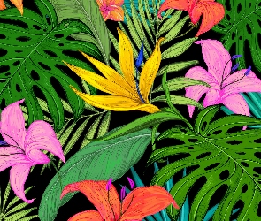 Grafika, Palmowe, Kolorowe, Kwiaty, Lilie, Liście