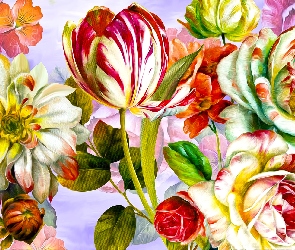 Kwiaty, Grafika, Róże, Tulipan, Kolorowe