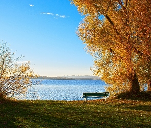 Jezioro, Ławka, Trawa, Drzewa, Jesień