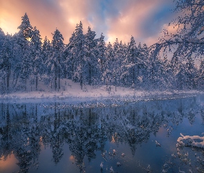 Zima, Gmina Ringerike, Norwegia, Drzewa, Jezioro, Zachód słońca, Las, Śnieg