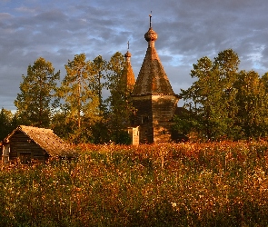 Rośliny, Trawy, Obwód archangielski, Jesień, Drzewa, Rosja, Cerkiew