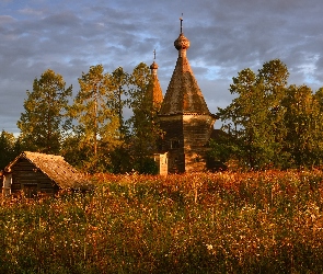 Obwód archangielski, Rosja, Jesień, Drzewa, Trawy, Rośliny, Cerkiew