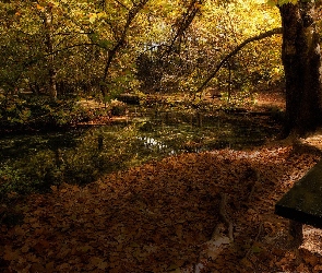 Jesień, Staw, Ławka, Drzewa, Park