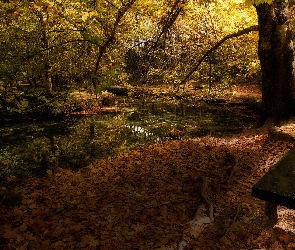 Park, Staw, Drzewa, Ławka, Jesień