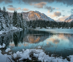 Drzewa, Góry Kaskadowe, Zima, Śnieg, Stan Waszyngton, Lasy, Stany Zjednoczone, Jezioro Gold Creek Pond