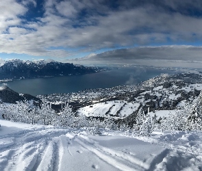 Montreux, Jezioro Genewskie, Śnieg, Szwajcaria, Góry Alpy, Zima, Drzewa