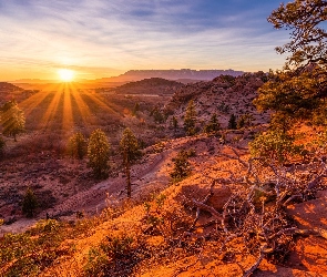 Stany Zjednoczone, Stan Utah, Góry, Promienie słońca, Drzewa, Park Narodowy Zion