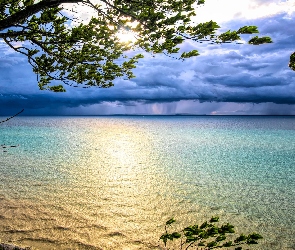Drzewo, Stany Zjednoczone, Chmury, Zachód słońca, Jezioro Michigan