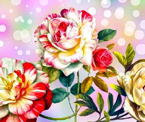Kolorowe, Róże, Grafika