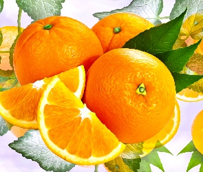 Pomarańcze, Grafika