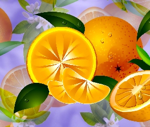 Pomarańcze, 2D