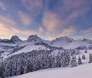 Góry, Zima, Szwajcaria, Las, Drzewa, Chmury, Alpy Berneńskie