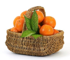 Pomarańcze, Liście, Koszyk