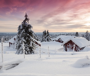 Śnieg, Domy, Zima, Norwegia, Sjusjoen, Promienie słońca, Okręg Hedmark, Drzewa