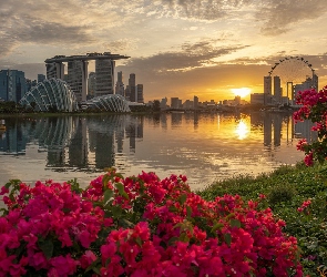 Singapur, Hotel Marina Bay Sands, Zatoka Marina Bay, Zachód słońca, Rzeka, Most, Kwiaty, Wieżowce