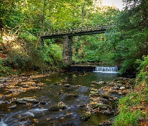Rzeka River Neb, Jesień, Wielka Brytania, Most, Liście, Wyspa Man, Roślinność, Drzewa