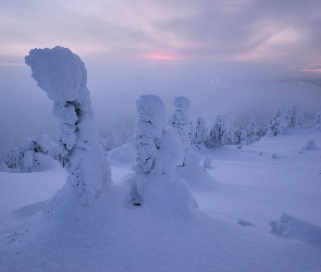 Finlandia, Mgła, Góry, Zima, Zaśnieżone, Drzewa