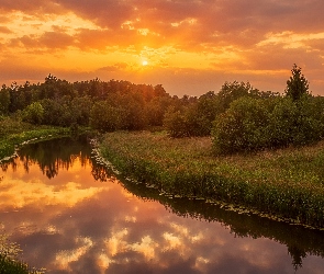 Zachód słońca, Krzewy, Rzeka, Drzewa