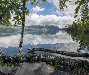 Brzozy, Chmury, Drzewa, Jezioro Lake McDonald, Stany Zjednoczone, Park Narodowy Glacier, Odbicie, Stan Montana, Góry