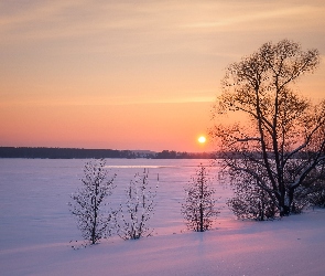 Zima, Rzeka Wołga, Rosja, Zachód słońca, Miejscowość Kostroma, Drzewa