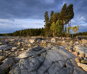 Jezioro Siegoziero, Skały, Rosja, Drzewa, Karelia, Kamienie