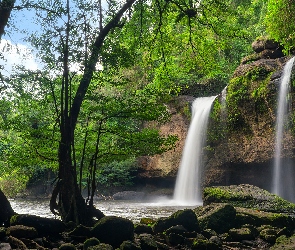 Tajlandia, Drzewa, Park Narodowy Khau Yai, Wodospad Haew Suwat, Omszałe, Kamienie