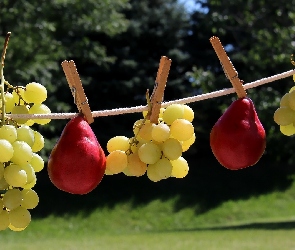 Klamerki, Sznurek, Winogrona, Gruszki
