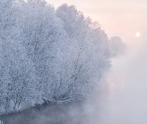 Mgła, Wschód słońca, Rzeka, Zima, Drzewa, Szron