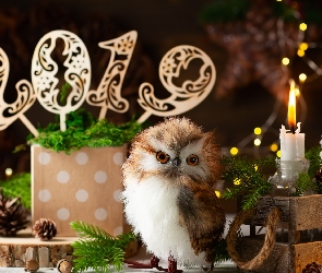 Pudełko, Szyszki, 2019, Skrzynka, Świece, Nowy Rok, Sowa