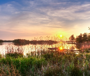 Zachód słońca, Pomost, Jezioro Hoornsemeer, Szuwary, Prowincja Groningen, Trzciny, Holandia, Trawa