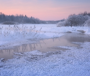 Karelia, Szron, Rzeka, Rosja, Mróz, Zima, Drzewa