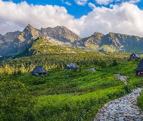 Góry Tatry, Królowe Rówienki, Hala Gąsienicowa, Polska, Domki, Drewniane, Zakopane, Droga