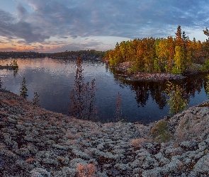 Drzewa, Jezioro Ładoga, Rosja, Zachód słońca, Chmury, Karelia, Las