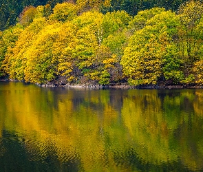 Jezioro, Odbicie, Drzewa, Jesień