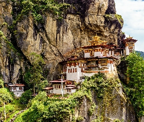 Bhutan, Drzewa, Paro Taktsang, Świątynia, Góry, Skały