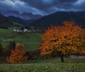 Góry, Droga, Kościół, Włochy, Drzewa, Wieś Santa Magdalena, Dolomity, Dolina Val di Funes, Domy