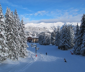 Zima, Drzewa, Francja, Góry, Alpy, Ośrodek narciarski Courchevel, Ośnieżone, Sabaudia, Miejscowość, Saint-Bon-Tarentaise, Lasy