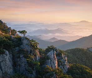 Góry, Park prowincjonalny Daedunsan, Korea Południowa, Drzewa, Skały, Prowincja Jeolla Północna, Wschód słońca