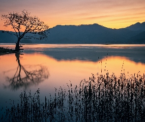 Jezioro, Góry, Zachód słońca, Trawa, Zarośla, Drzewa