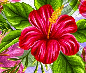 Kwiaty, Grafika, Hibiskus, Czerwony