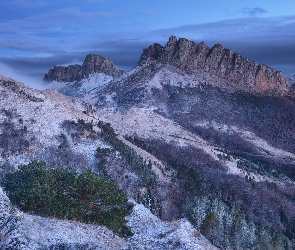 Rosja, Adygeja, Góry, Skaliste, Drzewa, Kaukaz