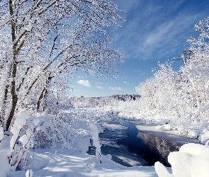 Śnieg, Rzeka, Drzewa, Ośnieżone, Zima